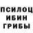 Галлюциногенные грибы GOLDEN TEACHER TEXNADZ0R