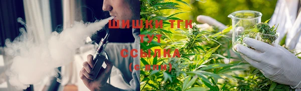 дурь Заводоуковск