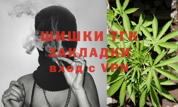 дурь Заводоуковск