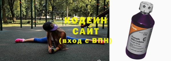 дурь Заводоуковск
