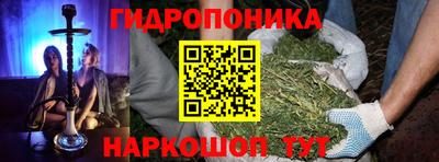 СК Канаш