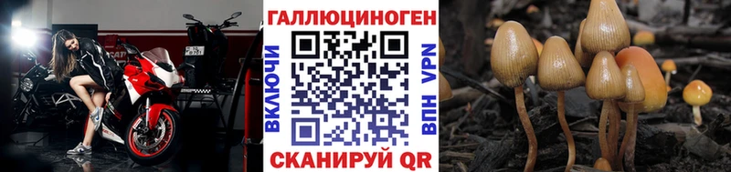 Галлюциногенные грибы прущие грибы  продажа наркотиков  Пыть-Ях 
