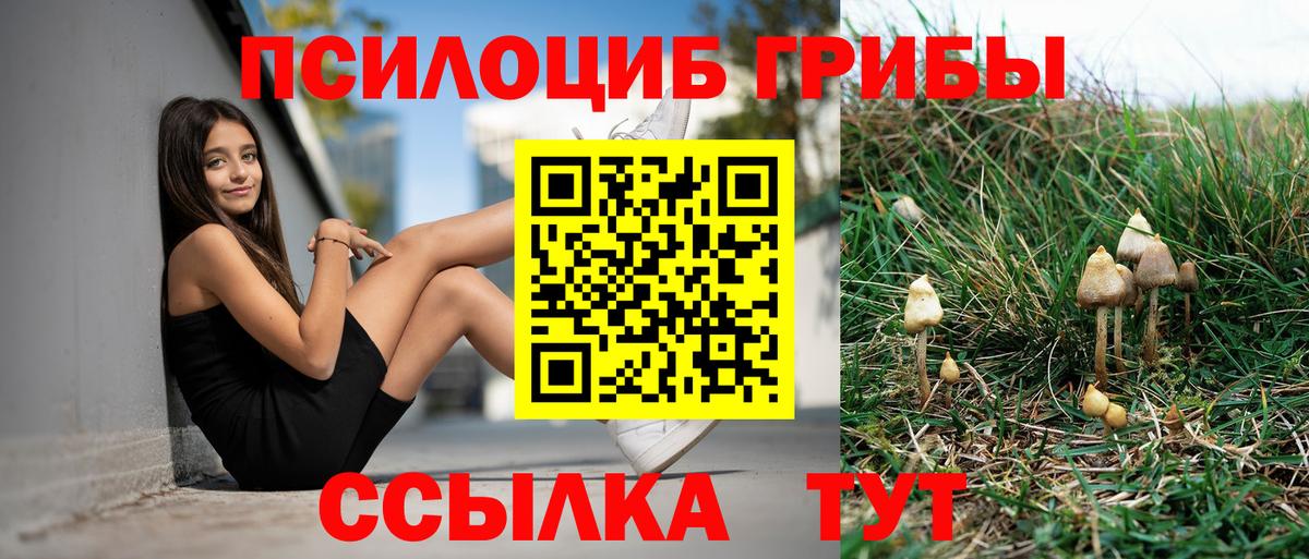 Пыть-Ях  Галлюциногенные грибы MAGIC MUSHROOMS  Вход с VPN 